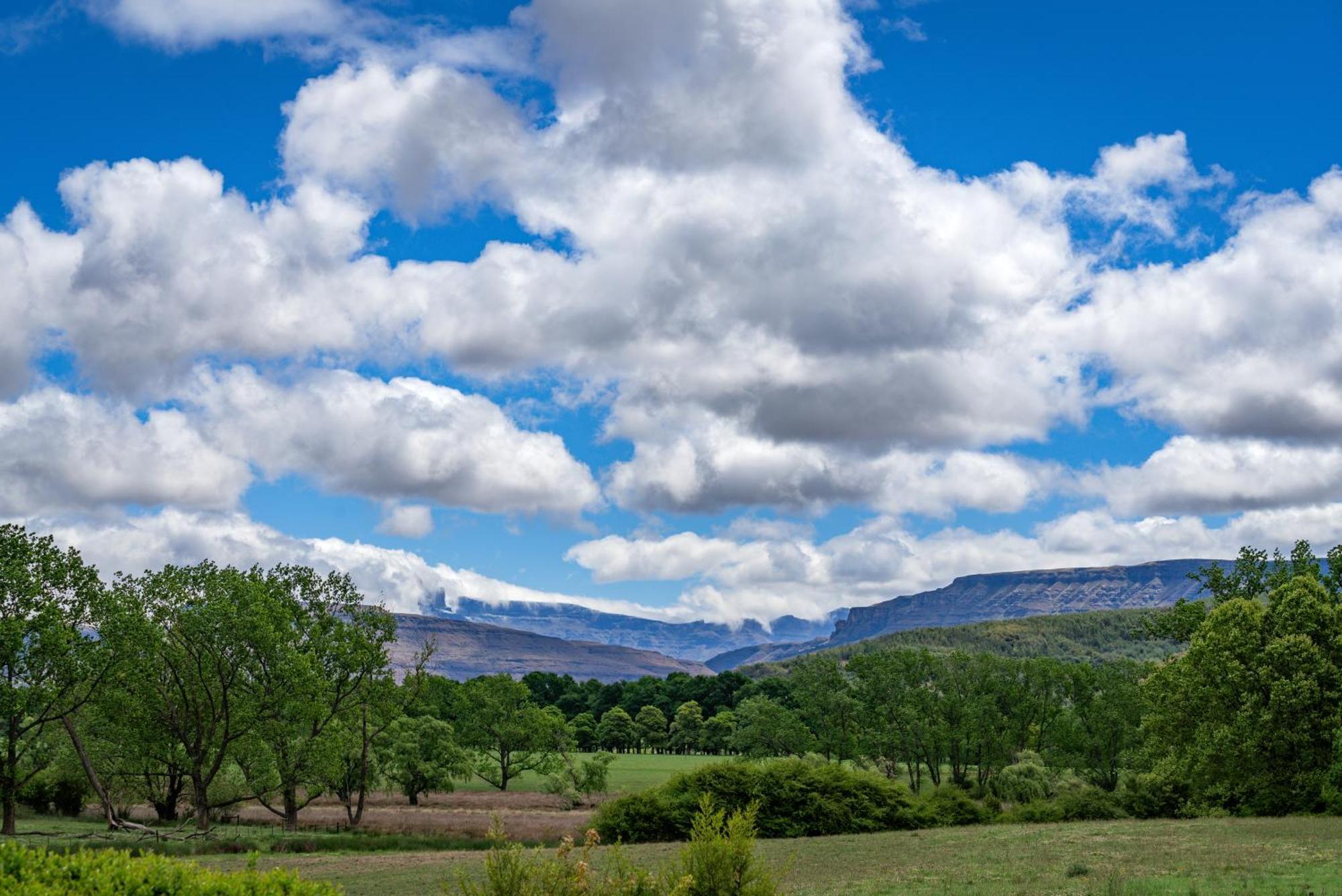 Molweni - Kamberg Valley B&B Rev Estates 외부 사진